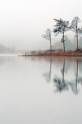 Loch Ard Reflections by Grant Glendinning