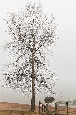 Lonely by Linda Ryma