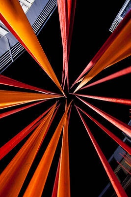 Color Wall Art featuring the photograph Looking Up by Jeff Stoddart