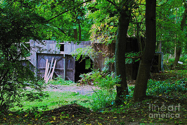 Architecture Wall Art featuring the photograph Lost Building by William Norton