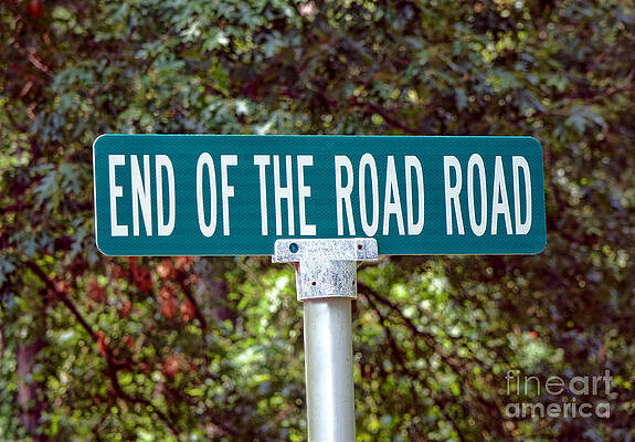 Wall Art featuring the photograph Lost GPS by Olivier Le Queinec