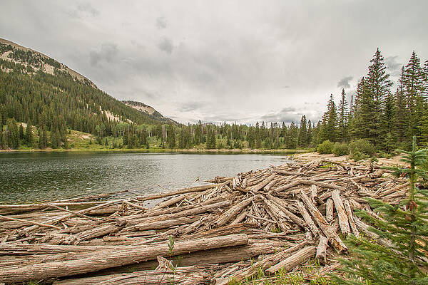 Nature Photograph - Lost Lake by Jeff Stoddart
