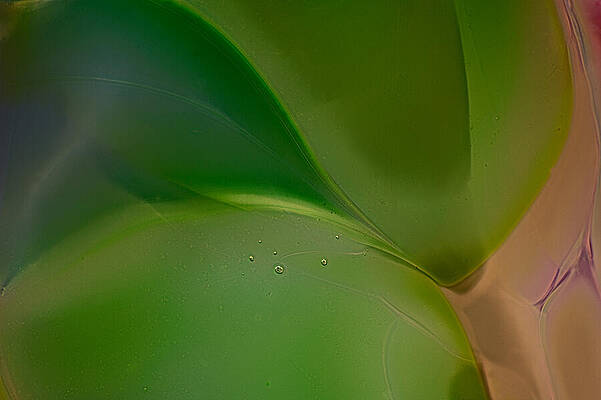 Nature Photograph - Loving Dolphins - Green Organic Abstract Glass Photography by Omaste Witkowski