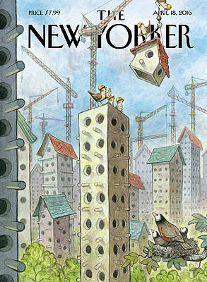 Birds in a Cityscape Construction Wall Art