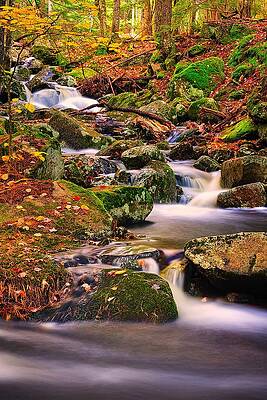 Wall Art featuring the photograph Madison Cascades by Jeff Sinon