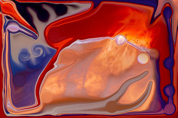 Red Painting - Magic Mushroom by Omaste Witkowski