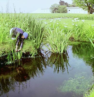 Landscape Architecture Wall Art featuring the photograph Marie Gyselinck In The Mouton Garden by Horst P. Horst
