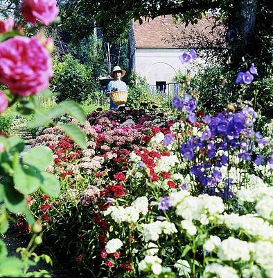 Growth Wall Art featuring the photograph Marie-helene Serreulles In Her Garden by Horst P. Horst
