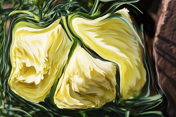 Spring Painting - Marigolds In Spring by Omaste Witkowski