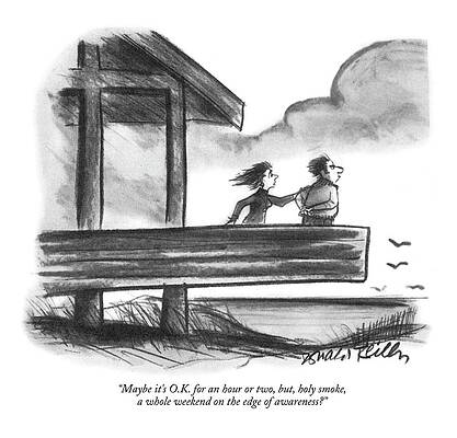 Seagull Wall Art featuring the drawing Maybe It's O.k. For An Hour Or Two by Donald Reilly