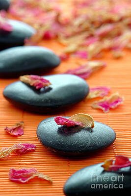 Zen Garden Rocks and Petals Wall Art