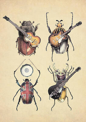 Beetles with Musical Instruments Wall Art