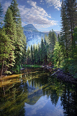 Wall Art featuring the photograph Merced River, Yosemite National Park by Ed Freeman