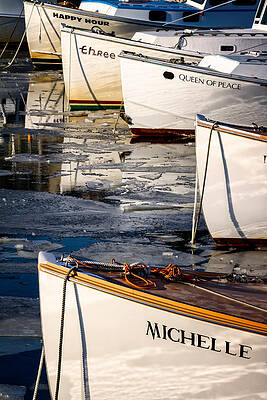 Maine Wall Art featuring the photograph Michelle by Jeff Sinon