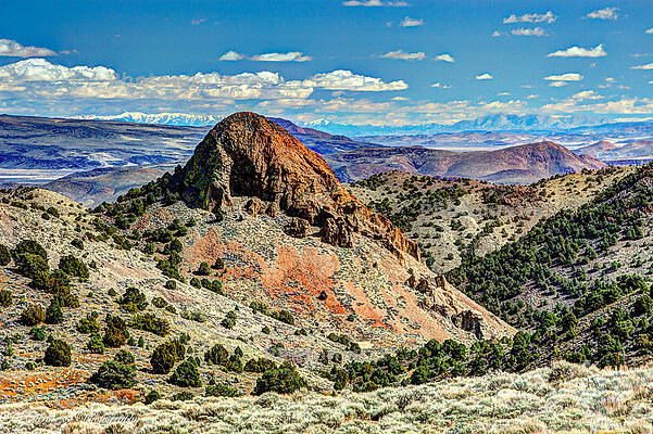 Wall Art featuring the photograph Miles And Miles by Carla E