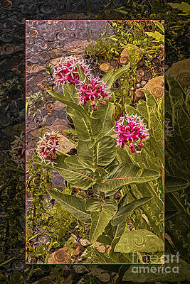 Summer Painting - Milkweed Loving A Mountain Stream Abstract Flower Painting by Omaste Witkowski