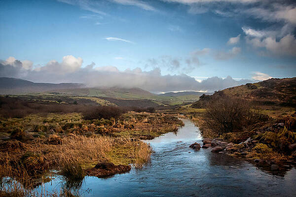 Water Wall Art featuring the photograph Minard Flood Plain by Mark Callanan