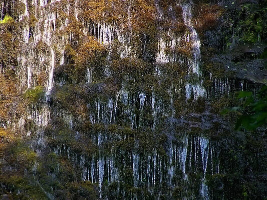 North Carolina Wall Art featuring the photograph Mingo Falls 1 by Flees Photos