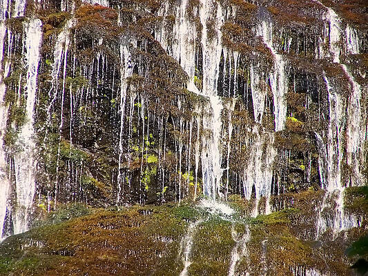North Carolina Wall Art featuring the photograph Mingo Falls 2 by Flees Photos
