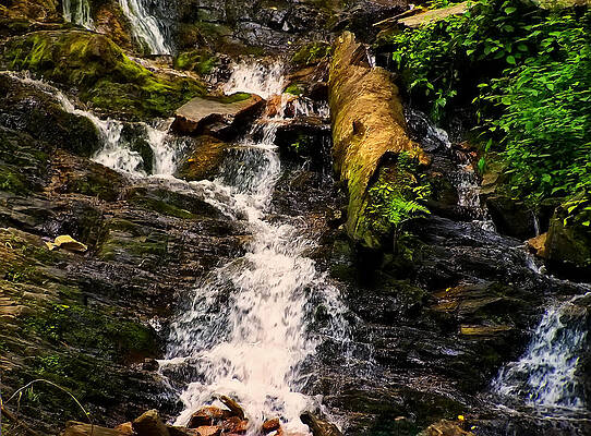 North Carolina Wall Art featuring the photograph Mingo Falls 3 by Flees Photos