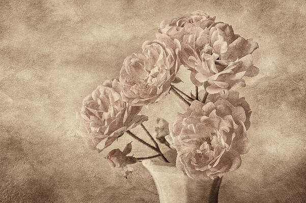 Vintage Bouquet in Sepia Tones Photograph