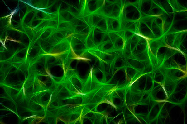 Summer Painting - Mint Gone Wild by Omaste Witkowski