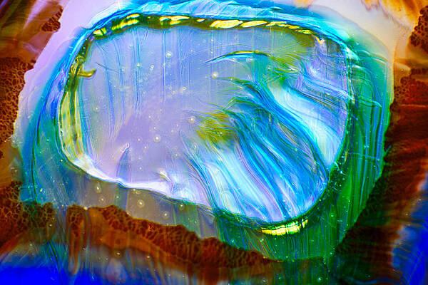 Wall Art featuring the photograph Mirror Mirror by Omaste Witkowski