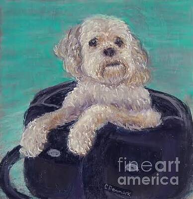 Miss Boo by Carol DENMARK