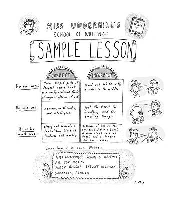 Nose Drawing - Miss Underhill's School Of Writing Sample Lesson by Roz Chast