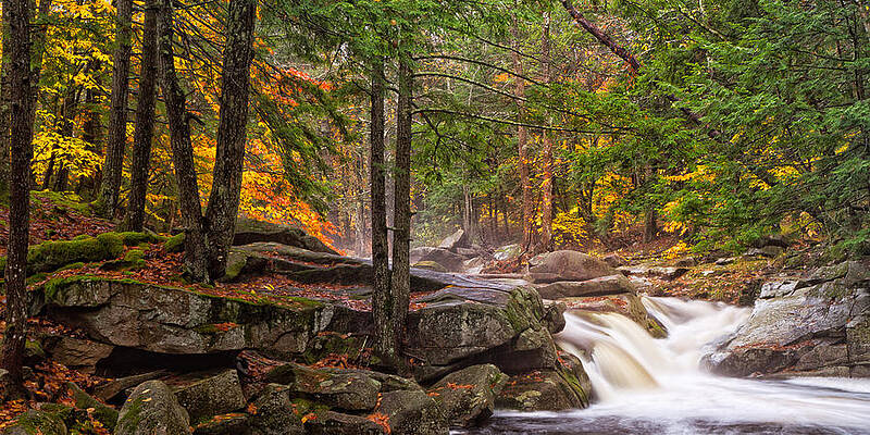Wall Art featuring the photograph Misty Autumn Waterfall Mad River Farmington NH by Jeff Sinon