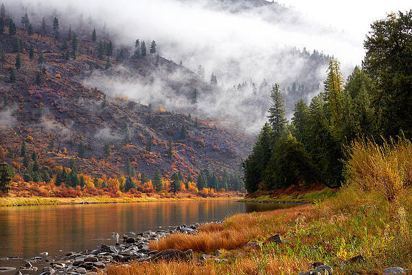 Misty Autumn River Landscape Wall Art