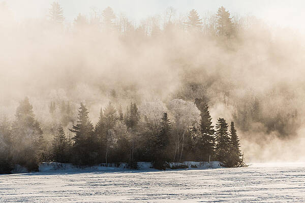 Wall Art featuring the photograph Misty Morning by Linda Ryma