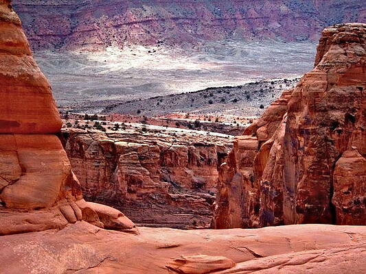 Wall Art featuring the photograph Moab by Rona Black