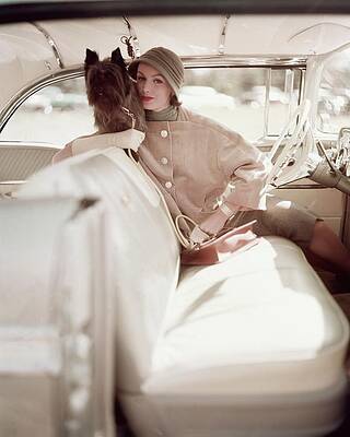 Wall Art featuring the photograph Model Posing With A Dog In The Front Seat by Karen Radkai