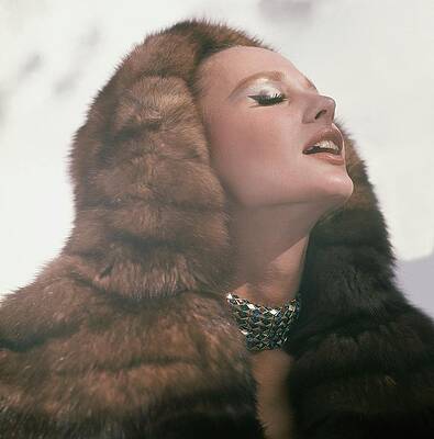 Crown Wall Art featuring the photograph Model Wearing A Hood Of Russian Crown Sable by Henry Clarke