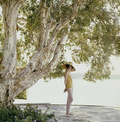 Model in Yellow Swimsuit Under Tree Wall Art