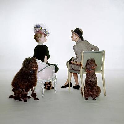 Wall Art featuring the photograph Models Sitting With Poodles by John Rawlings