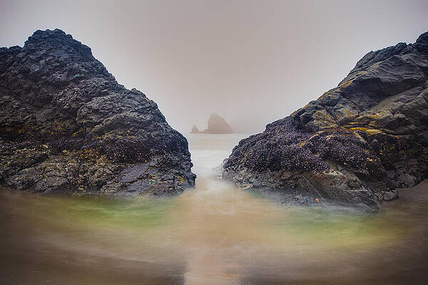 Photograph - Moment Of Discovery by Adam Mateo Fierro