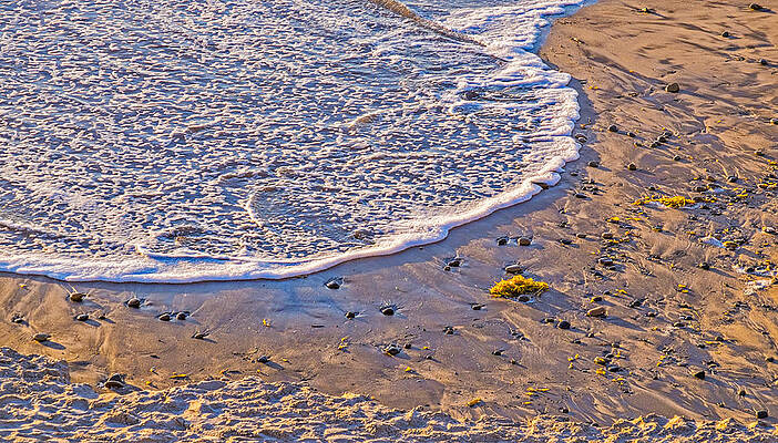Wall Art featuring the photograph Moonlight Tide - California Beach Photograph by Duane Miller