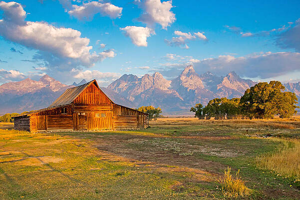 Country Wall Art featuring the photograph Mormon Row And The Grand Teton by Nicholas Blackwell