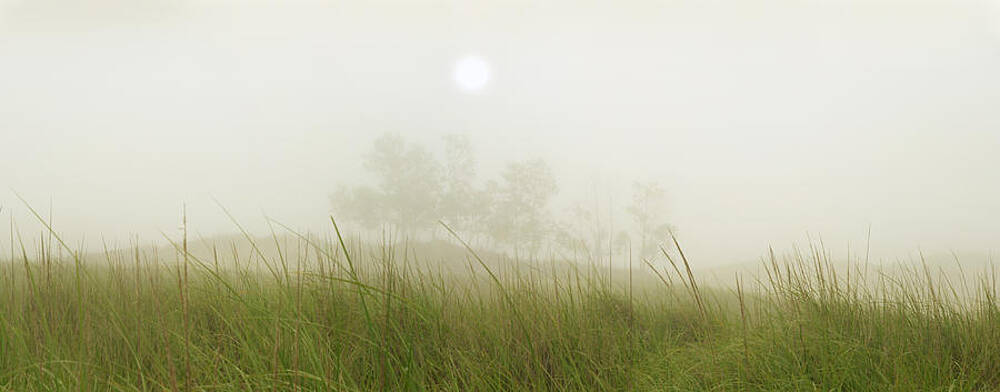 Michigan Wall Art featuring the photograph Morning Fog On The Dunes by Owen Weber
