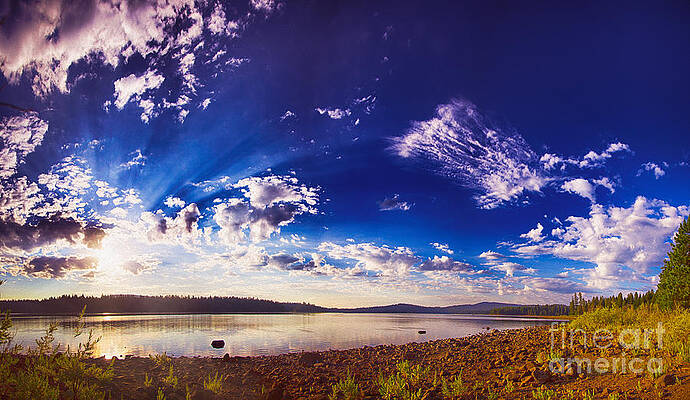 Wall Art featuring the photograph Morning Majesty by Omaste Witkowski