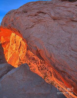 Wall Art featuring the photograph Morning Orange Slice by Adam Jewell