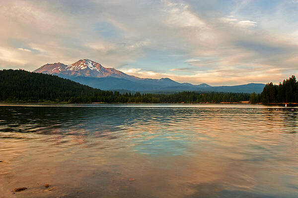 Wall Art featuring the photograph Mount Shasta by Lisa Chorny