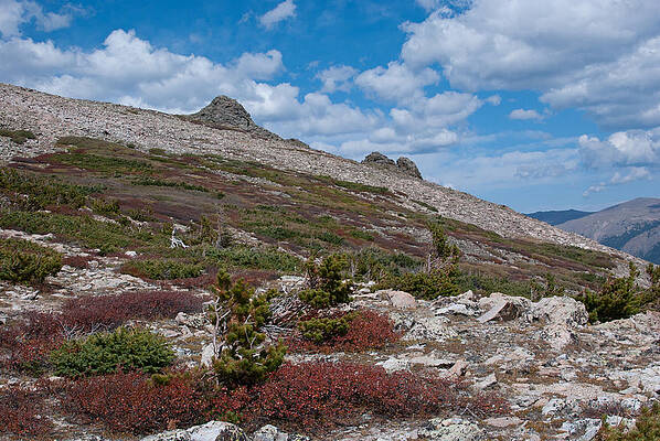 Rocky Mountain National Park Photograph - Mountain Autumn Colors And Layers by Cascade Colors