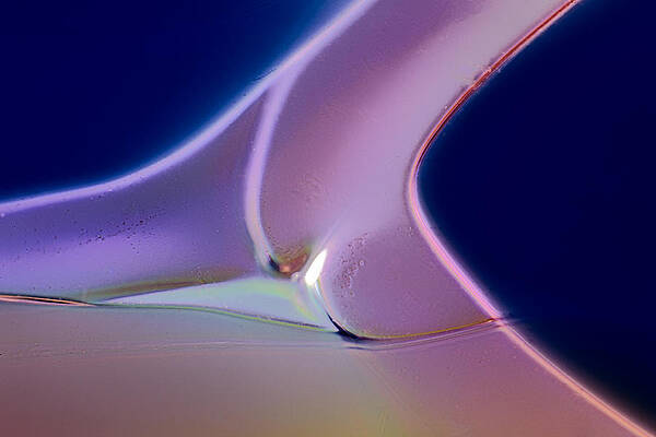 Photograph - Movement Of Colors by Omaste Witkowski