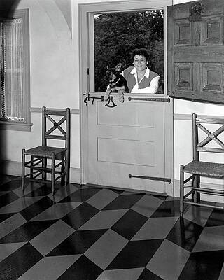 Massachusetts Photograph - Mrs. Henry Tomlinson Curtiss And Her Dog by George Platt Lynes