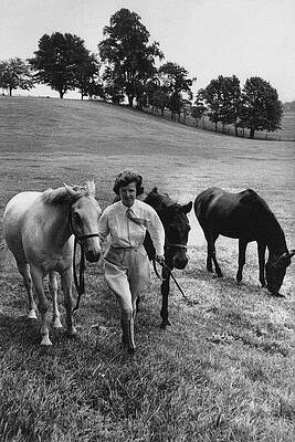 Woman Walking with Horses Photograph