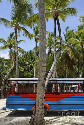 Transportation Wall Art featuring the photograph Multi-Colored Truck And Coconuts Trees by Sami Sarkis Photography