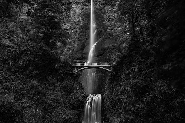 Wall Art featuring the photograph Multnomah Falls by Adam Mateo Fierro
